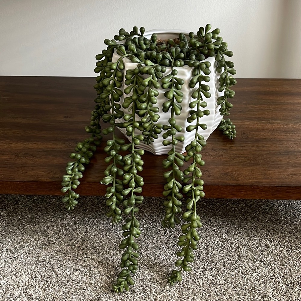 Faux String of Pearls